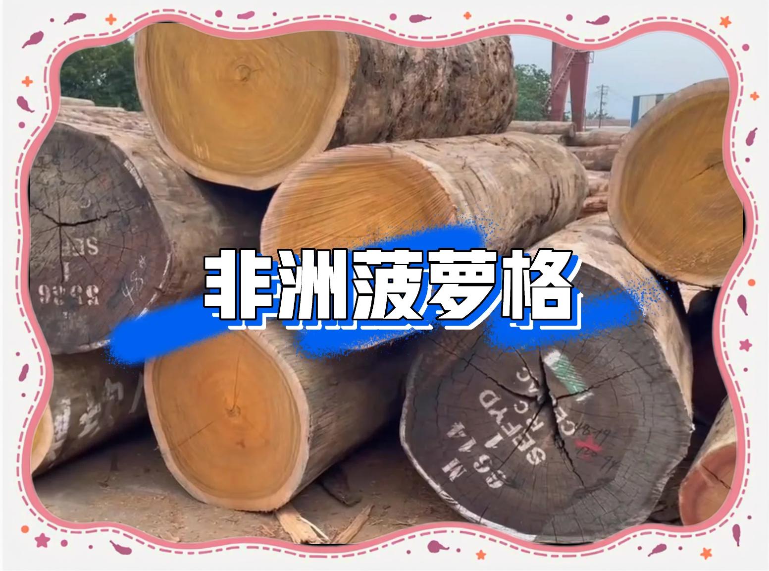 喀麦隆对阵南苏丹,生长进攻技巧 喀麦隆对阵南苏丹,生长进攻技巧