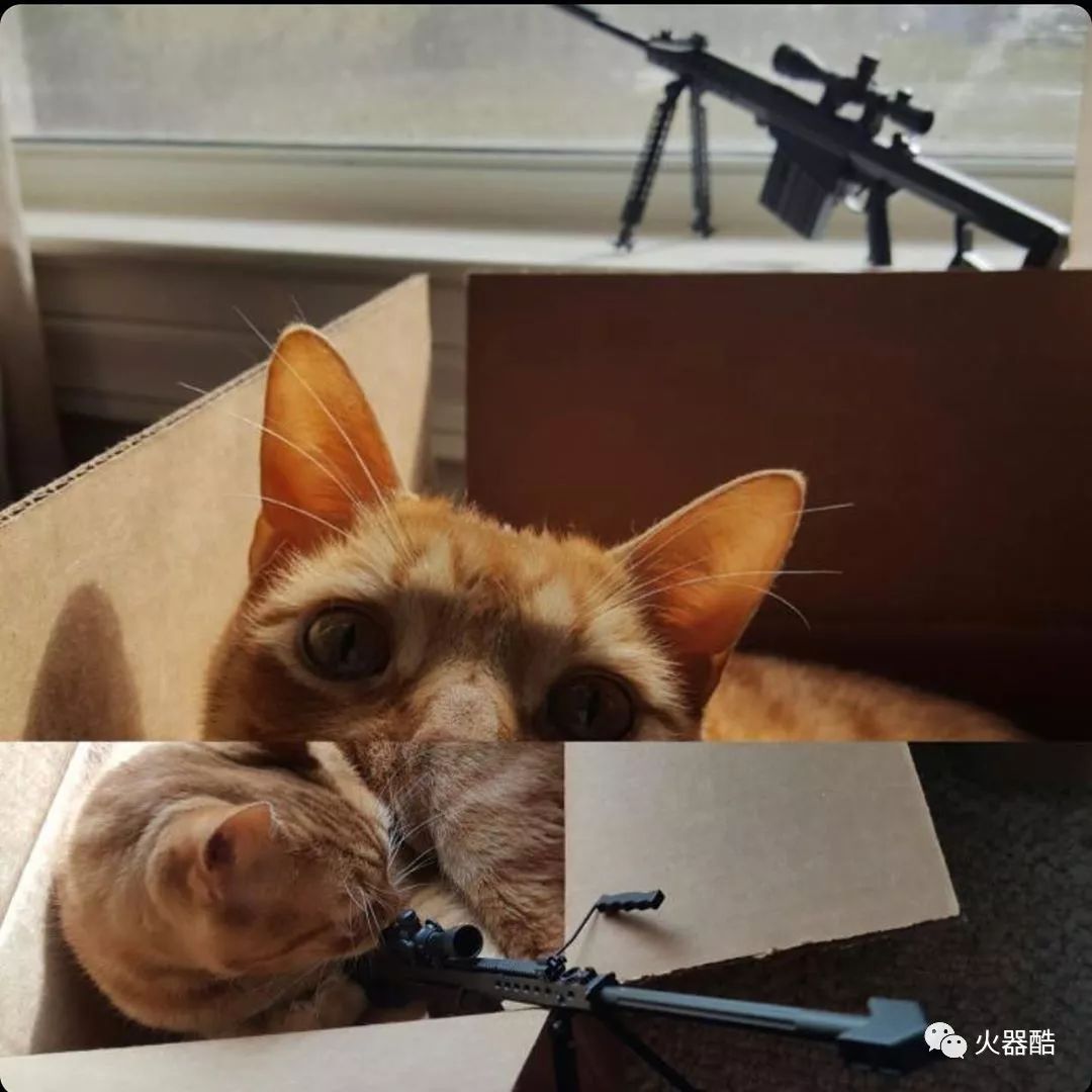 要宠的战术找着了,控制攻防两全 要宠的战术找着了,控制攻防两全